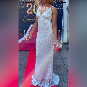 Silver shimmery gown